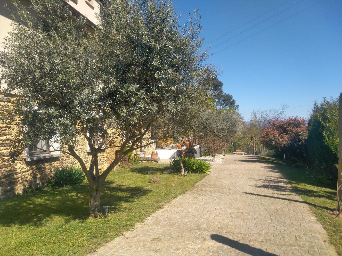 فيلا Quinta Do Senhor براغا المظهر الخارجي الصورة